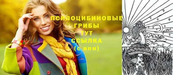 дурь Армянск
