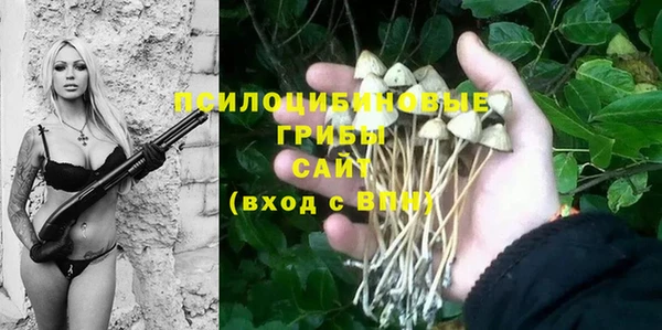таблы Арсеньев