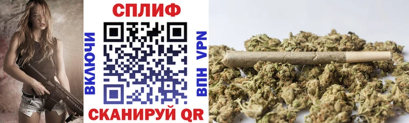 купить закладку Белозерск Шишки марихуана план